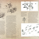 Image for article titled A Look Inside the Definitive Book on Bringing The Dark Crystal to Life